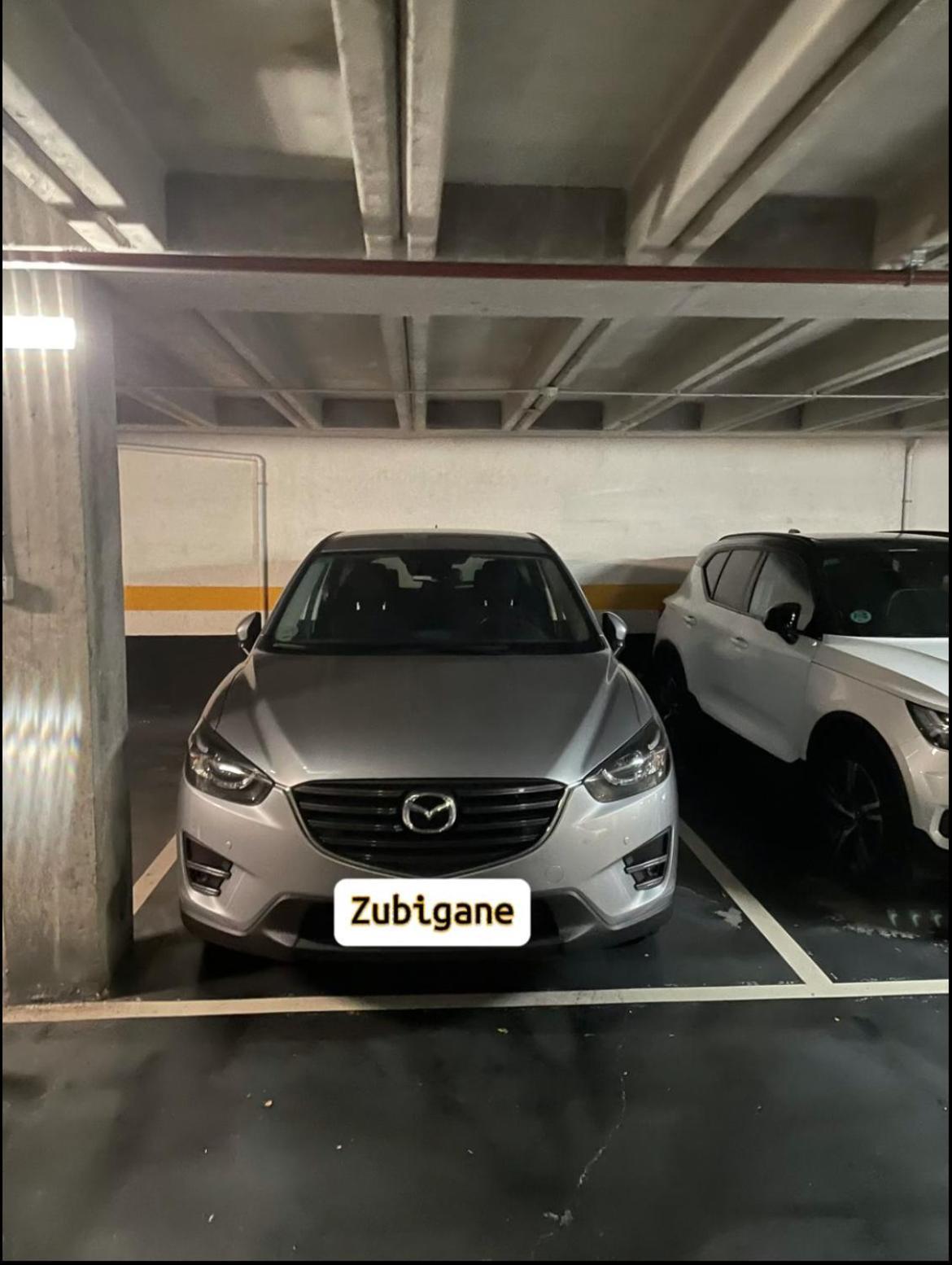 Zubigane Apartamento Junto A La Ria & Parking Bilbao Buitenkant foto